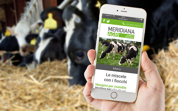 Sito web versione mobile